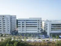 玻璃绝缘子 IEC 62217 与 GB/T 1001 型式试验：采购指南